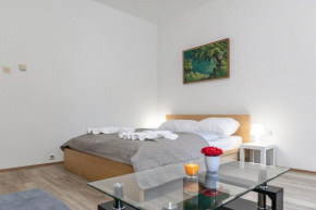 Spacious & Pleasent 2BR Apt. near Milenium Tower